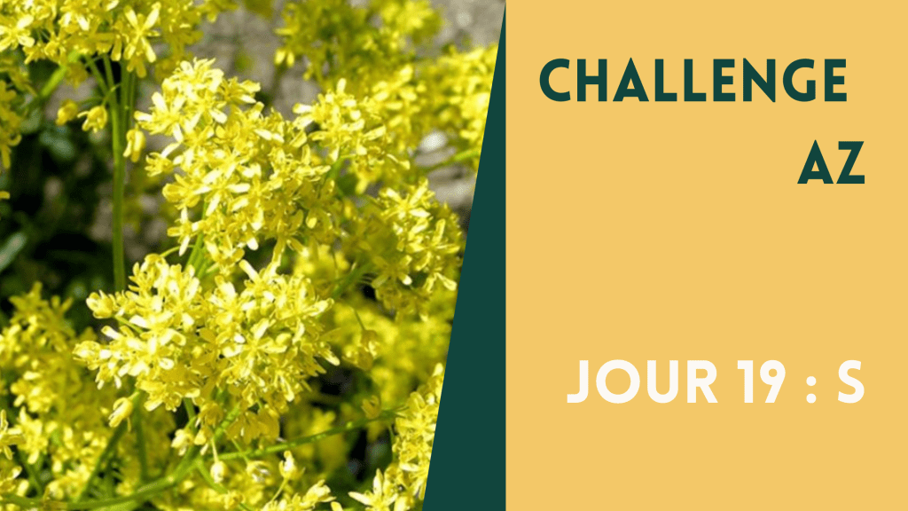 ChallengeAZ – Saint-Martin-aux-Waides