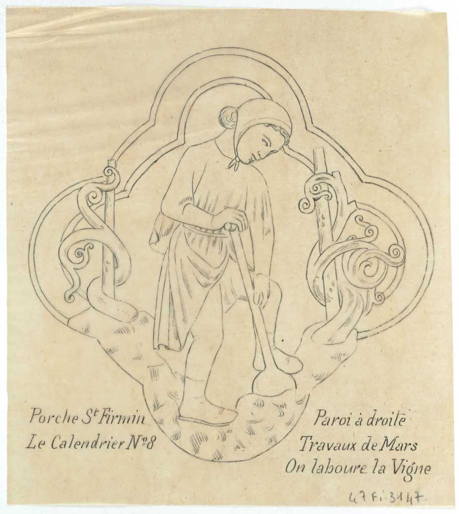 médaillon vigne cathédrale
challengeAZ